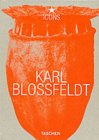 Karl Blossfeldt (Icons S.)